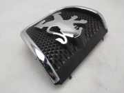 Grill 9638055177 Peugeot 607 (9D/U) Limousine 2.2 HDi 16V FAP (DW12TED4(4HX))