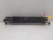 Ladeluftkühler 55702237 Fiat Grande Punto (199) Schrägheck 1.3 JTD Multijet 16V VGT (199.A.3000)