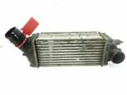 Ladeluftkühler 9646694680 Peugeot 307 CC (3B) Cabrio 2.0 HDIF 16V (DW10BTED4(RHR))