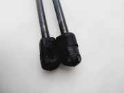 Gasdruckfedern Set Hinten 51247127875 BMW SERIE 3 TOURING (E91) 320d 163 CV / 120 KW