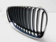 Grill 51137166440 BMW 1 serie (E87/87N) Schrägheck 5-drs 120d 16V (N47-D20A)