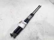 Gasdruckfedern Set Hinten 7700430022 Renault Scénic I (JA) -> 1999, Zie MEGANE Großraumlimousine 1.9 dCi (F9Q-732)