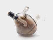 Ausgleichbehälter - - 0051824339 Fiat Doblo Cargo (263) Ch.Cab/Pick-up 1.6 D Multijet (198.A.3000)