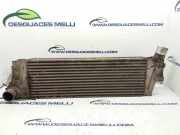 Ladeluftkühler 8200115540A Renault SCENIC II Confort Authentique 86 CV / 63 KW