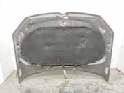 Motorhaube 6R0823031G Volkswagen Polo V (6R) Schrägheck 1.6 TDI 16V 90 (CAYB) CAYB