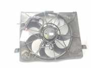 Kühlerventilator F00S3A2395 Kia Carens III (FG) Großraumlimousine 2.0 CRDI VGT 16V (D4EA)