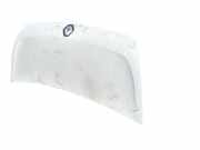 Motorhaube 651001399R Renault Master III (FV) Van 2.3 dCi 125 16V FWD (M9T-676(Euro 4))