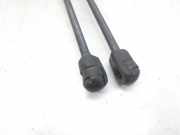 Gasdruckfedern Set Hinten 39089133 Opel E Expression 75 CV / 55 KW