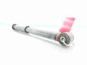 Stoßdämpfer Rechts Hinten 562107519R Renault Clio II (BB/CB) Schrägheck 1.2 16V (D4F-712)