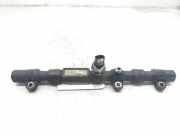 Einspritzdüsen Düsenstock A6650700295 SsangYong Rodius Großraumlimousine 2.7 270 Xdi 20V 4x2 (M665.925(Euro 4))