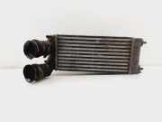 Ladeluftkühler 9684212480 Citroën C4 Grand Picasso (UA) Großraumlimousine 1.6 HDiF 16V 110 (DV6C(9HR))