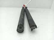 Gasdruckfedern Set Hinten 8402195 BMW X5 (E53) SUV 3.0d 24V (M57-D30(306D1))