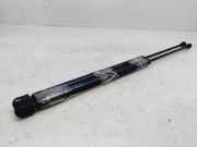 Gasdruckfedern Set Hinten 1020156 Ford Mondeo I Schrägheck 1.8i 16V (U9) (RKA)