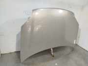 Motorhaube Citroën Berlingo Van 2.0 HDi 90 (DW10TD(RHY))