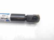 Gasdruckfeder Set Vorne 49164U16000 Citroën Xsara Coupé (N0) Schrägheck 2.0 HDi 90 (DW10TD(RHY))