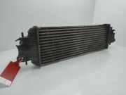 Ladeluftkühler 7700312903 Renault TRAFIC Kombi (AB 4.01) 6 - plazas. acristalado parcial. Kombi corto 101 CV / 74 KW