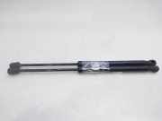 Gasdruckfedern Set Hinten 51327148346 BMW X5 (E70) SUV 3.0d 24V (M57N2-D30(306D3))