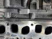 Zylinderkopf 55264994 Fiat Tipo (356S) Limousine 1.3 JTD Multijet II 16V (199.B.1000(Euro 5))