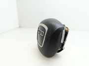 Airbag Lenkrad 8P0880201AJ Audi A3 (8P1) Schrägheck 3-drs 2.0 TDI 16V (BKD)