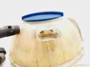 Ausgleichbehälter - - 6Q0121407B Seat Ibiza IV (6J5) Schrägheck 5-drs 1.9 TDI 105 (BLS)