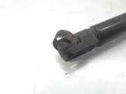 Gasdruckfedern Set Hinten XS41A406A10AF Ford Focus 1 Limousine 1.6 16V (FYDB)