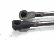 Gasdruckfedern Set Hinten 51248254281 BMW 3 serie (E46/4) Limousine 318d 16V (M47-D20(204D1))