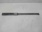 Gasdruckfedern Set Hinten 9647295480 Citroën CITROEN BERLINA SX 88 CV / 65 KW