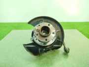 Achsschenkel Halter Rechts Hinten 33321095240 BMW X5 (E53) SUV 3.0d 24V (M57-D30(306D1))