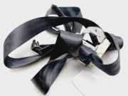 Sicherheitsgurt Rechts Hinten 3C5857806K Volkswagen Passat (362) Limousine 1.6 TDI 16V Bluemotion (CAYC) CAYC