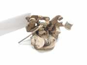 Türschloss Links Hinten 24425296 Opel Astra F (56/57) Limousine 1.7 D GL/GLS (17DR)
