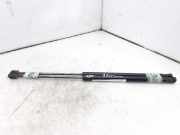 Gasdruckfedern Set Hinten 1093705 Ford Focus 1 Schrägheck 1.8 TDdi (C9DB)