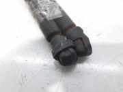 Gasdruckfedern Set Hinten 8178022200 Hyundai ACCENT (LC) GLS 86 CV / 63 KW