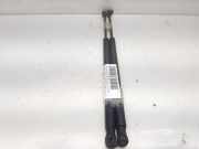 Gasdruckfedern Set Hinten 8200377789 Renault SCENIC II Luxe Privilege 120 CV / 88 KW