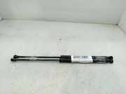 Gasdruckfedern Set Hinten 9650780480 Peugeot X-Line 68 CV / 50 KW