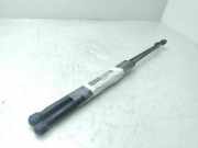 Gasdruckfedern Set Hinten 8V41S406A10BD Ford Kuga I SUV 2.0 TDCi 16V 140 (UFDA)