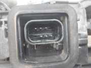 Lampenfassung 20650751 Fiat DOBLO II CARGO (263) Furgón Base 75 CV / 55 KW