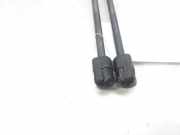 Gasdruckfedern Set Hinten 8731E6 Peugeot 206 (2B) Limousine 1.4 (TU3JP(KFW))