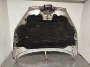 Motorhaube 7901L6 Peugeot 407 (6C/J) Coupé 2.7 HDi V6 24V (DT17TED4(UHZ))