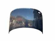 Motorhaube BKA780040 Land + Range Rover Discovery III (LAA/TAA) Geländewagen 2.7 TD V6 (276DT)