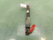 Stoßdämpfer Links Hinten 4853042070 Toyota RAV4 (A3) Geländewagen 2.2 D-4D 16V 4x4 (2AD-FTV)