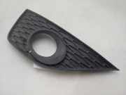 Grill 6J0853665A Seat Ibiza IV (6J5) Schrägheck 5-drs 1.2 TDI Ecomotive (CFWA)