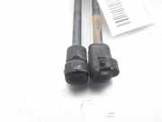 Gasdruckfedern Set Hinten 6723079 Ford Escort 6 (AAL/ABL) Schrägheck 1.6 16V (L1E)