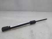 Gasdruckfeder Set Vorne 68025360AA Jeep Grand Cherokee (WH/WK) SUV 3.0 CRD V6 24V (EXL)