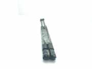 Gasdruckfeder Set Vorne A06410300 SsangYong Kyron SUV 2.0 200 Xdi 16V 4x2 (OM664.950)