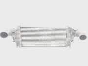 Ladeluftkühler A1645001900 Mercedes-Benz R (W251) Großraumlimousine 3.0 350 CDI 24V 4-Matic (OM642.950)