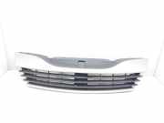 Grill 8200012581 Renault Laguna II (BG) Schrägheck 5-drs 1.9 dCi 105 (F9Q-754)