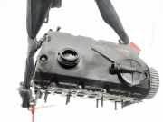 Zylinderkopf 038103373R Seat Ibiza III (6L1) Schrägheck 1.9 TDI 100 (ATD)