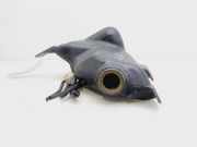 Scheibenwaschbehälter 13260579 Opel Zafira Tourer (P12) Großraumlimousine 1.6 CDTI 16V ecoFLEX 136 (B16DTH)