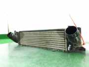 Ladeluftkühler 17517600530 BMW 1 serie (F20) Schrägheck 5-drs 116d 1.5 12V TwinPower (B37-D15A)