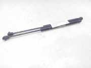 Gasdruckfedern Set Hinten 8731G3 Citroën C3 (FC/FL/FT) Schrägheck 5-drs 1.4 HDi (DV4TD(8HX))